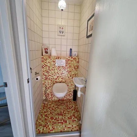 De Zeemeeuw Noordwijkerhout